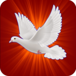 Logo of Be Led by the Spirit of God android Application 